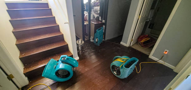 Best 24/7 water damage repair  in Woodinville, WA