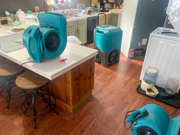Best Residential water damage restoration  in Woodinville, WA