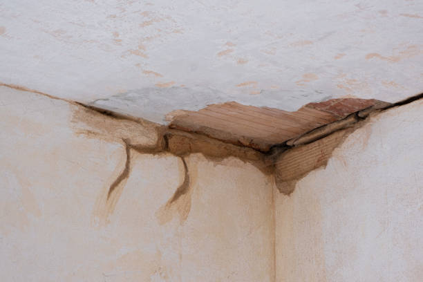 Best Emergency water damage restoration  in Woodinville, WA