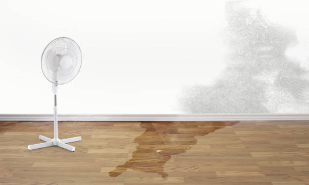 Local water damage restoration in Woodinville, WA