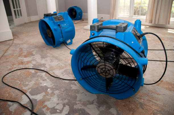 Best Residential water damage restoration  in Woodinville, WA